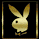 playboybunny.gif